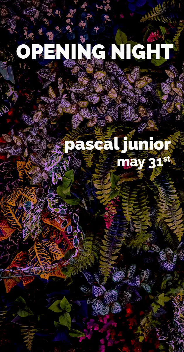 Opening Night ★ Fratelli By The River w/ Pascal Junior